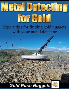 Find Gold Nuggets with a Metal Detector