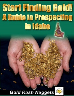 Idaho Gold Nugget Prospector